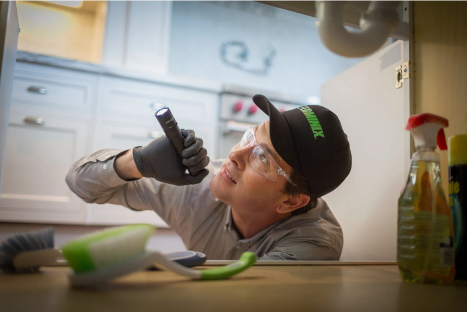 palm harbor pest consultants