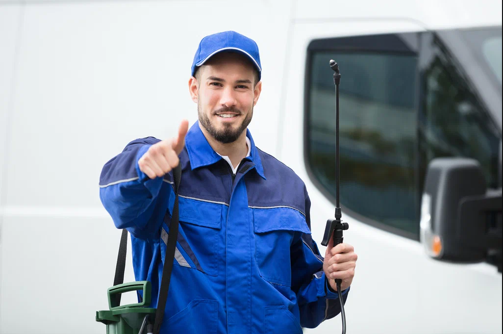 palm harbor fleas solutions