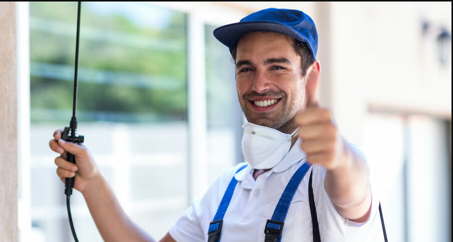 PALM HARBOR PEST XPERTS